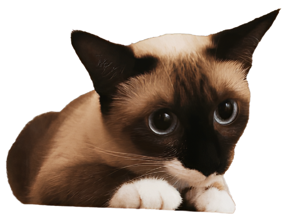 Kaiz Illust (PRINTmov ver.) Illust by Masahiro @Masahiro08